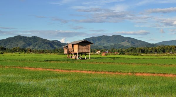 Pai – Luang Nam Tha